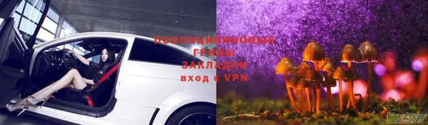 гашик Алзамай